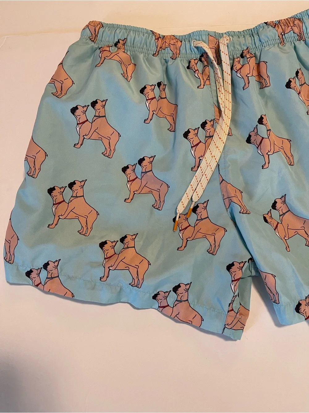 Ambsn Mens Swim Shorts Trunk Lined Medium French Bulldog Print Pockets Funny